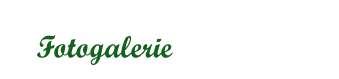Fotogalerie